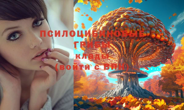 марки lsd Баксан