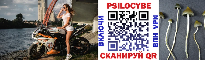 где найти маркетплейс как зайти Псилоцибиновые грибы ЛСД Белёв